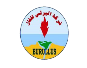 _--Burullus-Gas-Company-&-Rashid-Petroleum